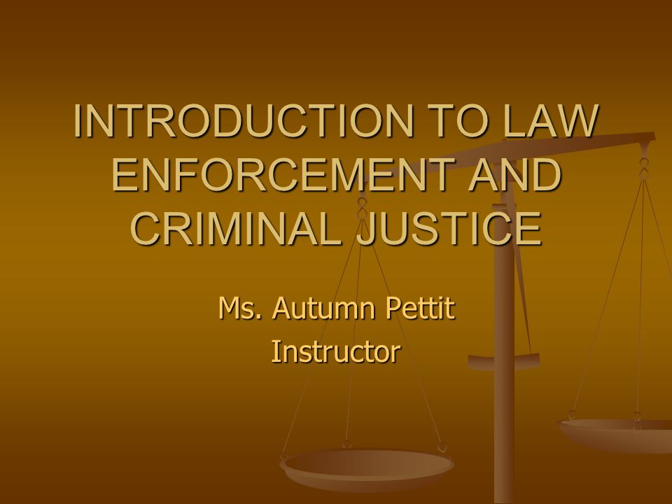 Introduction to Law Enforcement - Essay Example